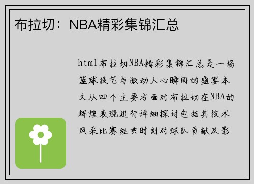 布拉切：NBA精彩集锦汇总